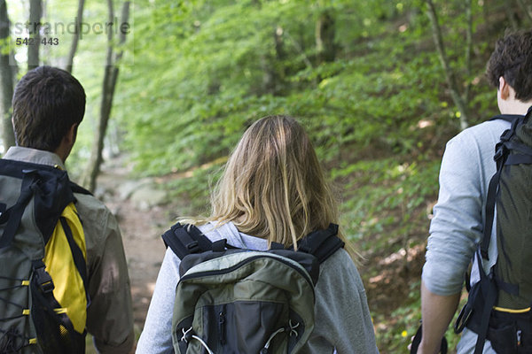 Wanderer auf dem Weg  Rückansicht