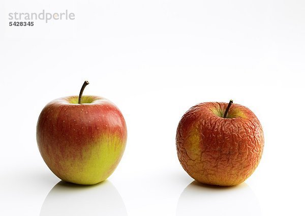 Zwei Äpfel auf weißem Untergrund frisch und gealtert Apfel - malus communis Kernobst - vitaminreich - Vitamin C - mehrer B-Vitamine - 70% in der Schale - Importäpfel gewachst - schälen - Ballaststoffe - Pektin - Zellulose -