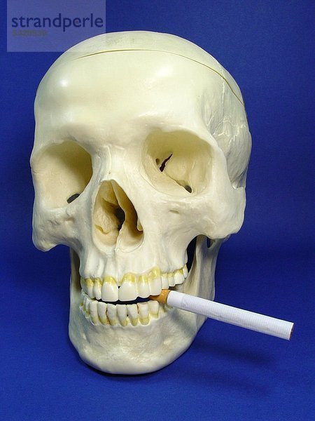 Totenkopf mit einer Zigarette