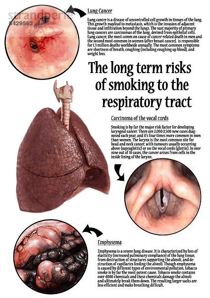 Poster: die Gefahren des Rauchens für die Atemwege