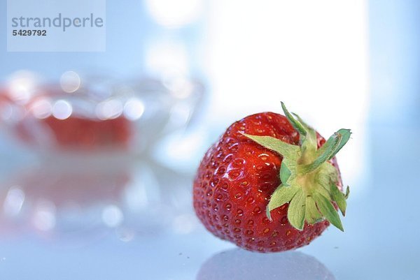 Erdbeere - Fragaria Vesca - Die Erdbeere gehört zur Familie der Rosengewächse sie enthält Vitamin C Folsäure und Eisen sie enthält Phenolsäure und wirkt damit vorbeugend gegen Krebs weiterhin wirkt sie blutreinigend beruhigend und appetitanregend