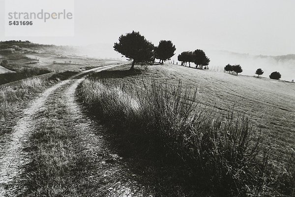 Weg durch Landschaft -Schwarz Weiß