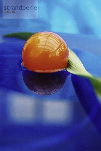 orangene Kugel schwimmt im Wasser mit einem grünen Blatt