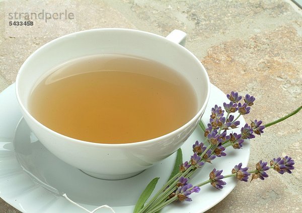 Teetasse mit Lavendeltee und frischen Pflanzen - Lavendel - Lavendula angustifolia - wirkt leicht beruhigend und regt die Durchblutung der Haut an Heilpflanze - Dufrpflanze - Aroma - Gewürz - medizinische Verwendung
