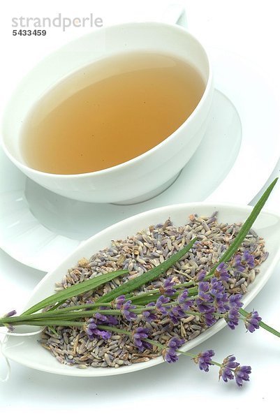 Teetasse mit Lavendeltee mit frischen und getrockneten Pflanzen auf weißer Schale - Lavendel - Lavendula angustifolia - wirkt leicht beruhigend und regt die Durchblutung der Haut an Heilpflanze - Dufrpflanze - Aroma - Gewürz - medizinische Verwendung