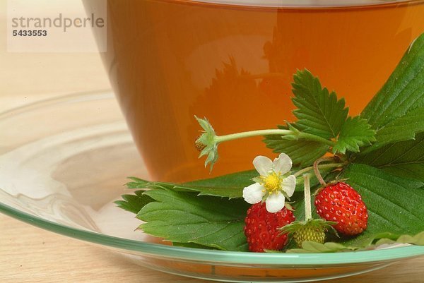 Gesundheitspflege Produktion ungestüm Erdbeere Tee