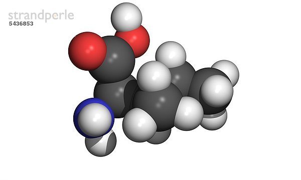 Die Aminosäure Isoleucin ist eine von 20 Aminosäuren die in Proteinen vorkommt. Isoleucin ist eine essentielle Aminosäure und kann im Körper nicht hergestellt werden