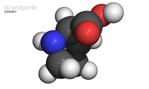Die Aminosäure Prolin ist eine von 20 Aminosäuren die in Proteinen vorkommt