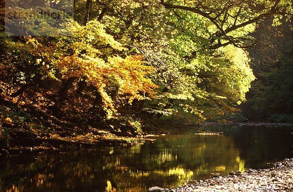 Herbstliche Stimmung an einem Fluss