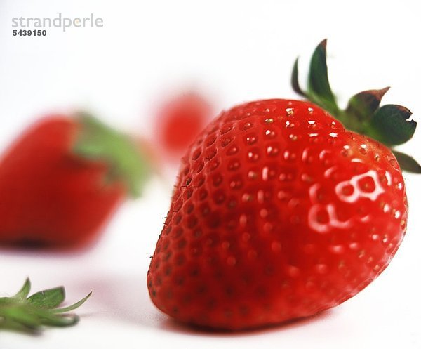 Erdbeeren auf weißem Grund
