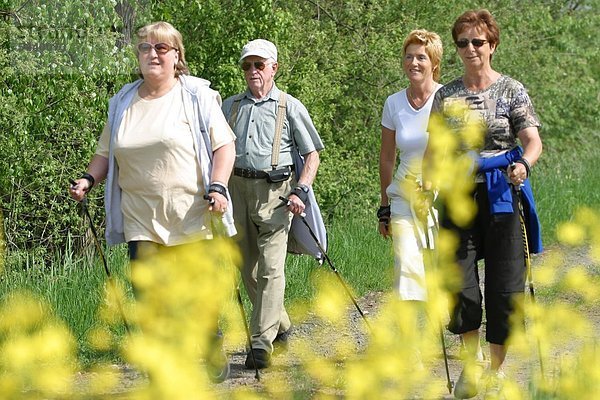 Senioren beim nordic walking