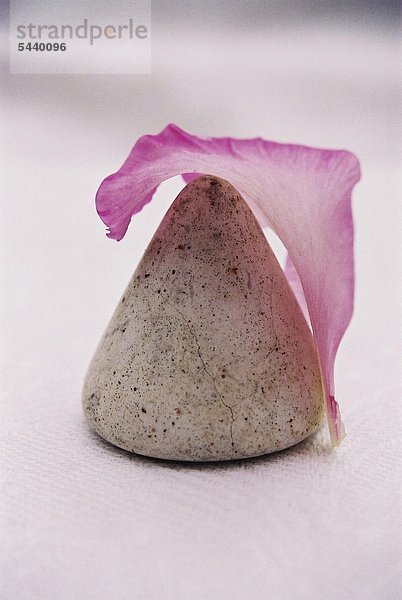 Steinkegel mit Gladiolenblatt