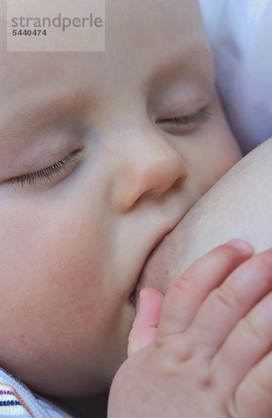 Portrait von 6 Monate altem Baby an der Brust von seiner Mutter