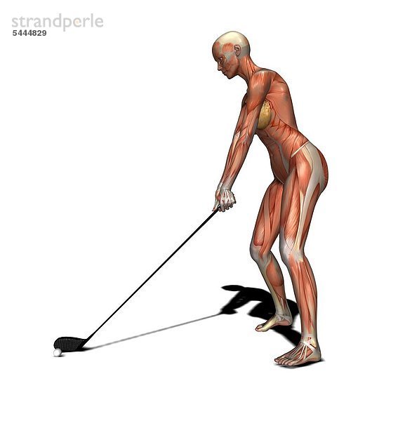 Muskelfrau als Golfspieler