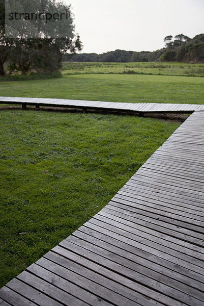 Ein Holzsteg über Gras in abgelegener Lage