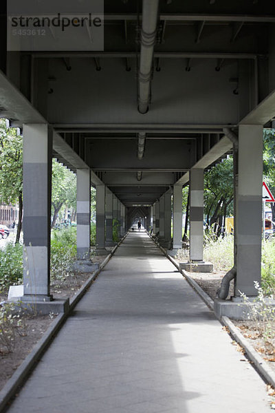 Entfernte Menschen und Hunde  die unter einer Eisenbahnbrücke spazieren gehen.