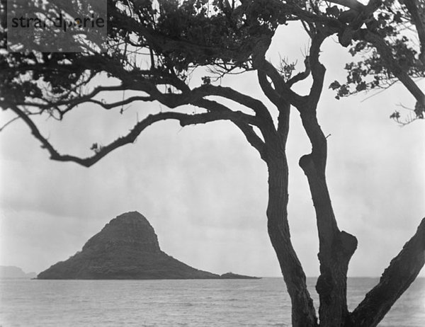 Eine Felsformation im Pazifischen Ozean  Oahu  Hawaii