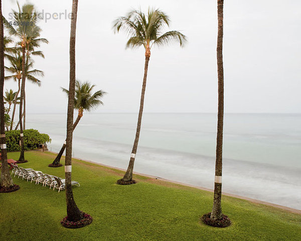 Palmen und Sonnenliegen am Strand in Maui  Hawaii