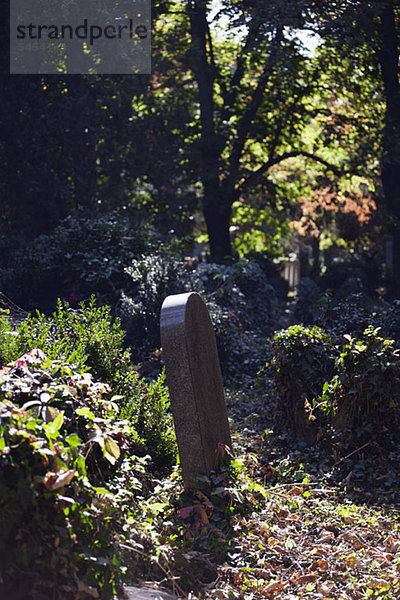 Ein Grabstein auf einem Friedhof  Wien  Österreich