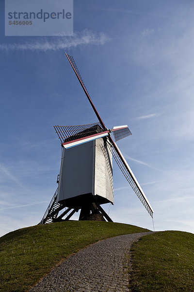 Alte Windmühle in Brügge  Flandern  Belgien  Europa