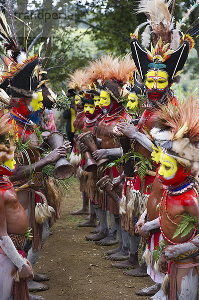 Huli Wigmen aus dem Tari-Tal im Südlichen Hochland tragen Federn von Paradiesvögeln bei einem Sing-Sing  Mount Hagen oder Hagensberg  Papua-Neuguinea  Ozeanien