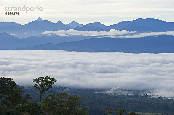 Berg  bedecken  Wolke  Tal  Lodge  Landhaus  Magie  Ansicht  Hagen  Ozeanien  Papua-Neuguinea