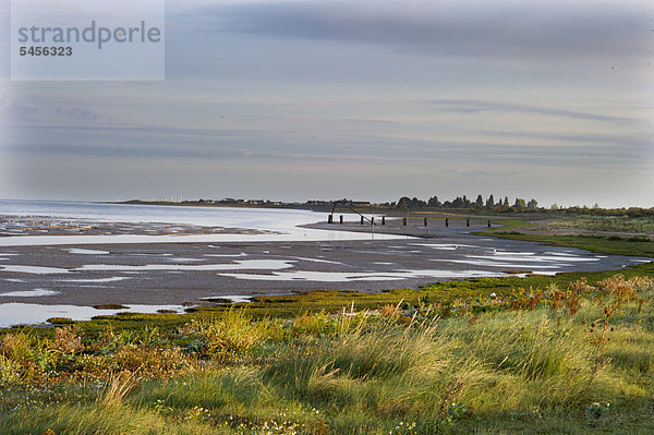 The Wash  Meeresbusen  am Snettisham RSPB Vogelreservat bei Ebbe  Norfolk  England  Großbritannien  Europa