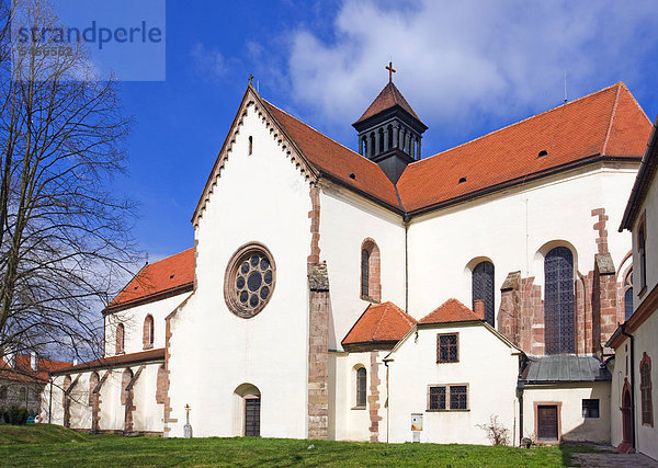 Kirche der Himmelfahrt der Jungfrau Maria im Zisterzienserinnenkloster Porta Coeli in Predklasteri  Südmähren  Tschechien  Europa
