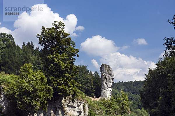 Maczuga Herkulesa  Herkuleskeule  eine Felsnadel im Ojcowski-Nationalpark  Polen  Europa