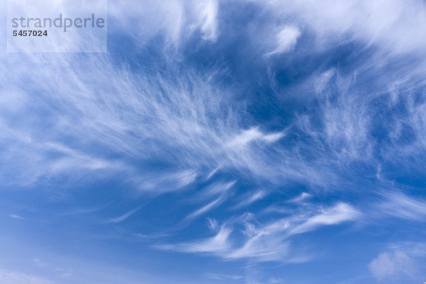 Blauer Himmel mit Schleierwolken  Cirrostratus
