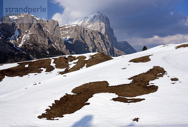 Vordere Tofana  Tofana di Rozes Gipfel vom Passo di Falzarego Pass  Dolomiten  Italien  Europa