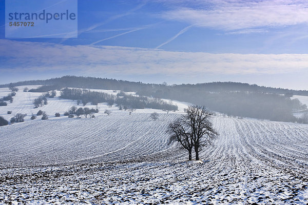 Winterlandschaft bei Knezdub  Bile Karpaty  Naturschutzgebiet Weiße Karpaten  Südmähren  Tschechien  Europa