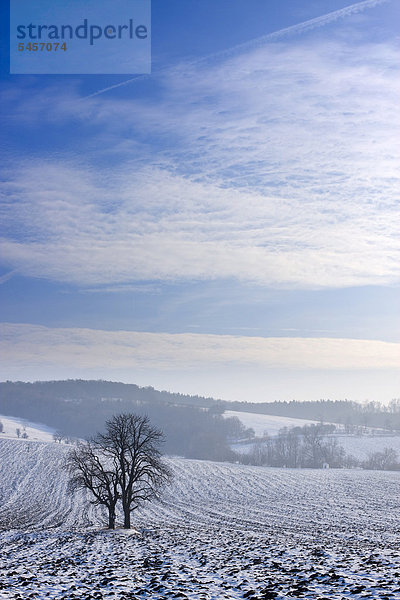 Winterlandschaft bei Knezdub  Bile Karpaty  Naturschutzgebiet Weiße Karpaten  Südmähren  Tschechien  Europa