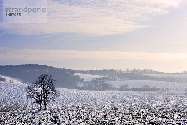 Winterlandschaft bei Knezdub  Bile Karpaty  Naturschutzgebiet Weiße Karpaten  Südmähren  Tschechien  Europa