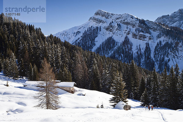 Malga di Juribrutto Berghütte  am Aufstieg zur Cima Bocche oberhalb vom Passo Valles  Dolomiten  Trentino  Italien  Europa