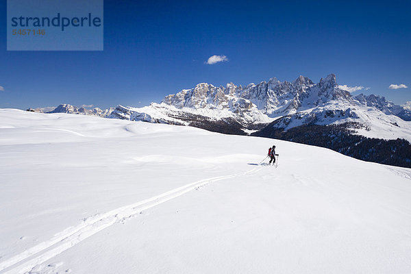 Skitourengeher bei der Abfahrt von der Cima Bocche oberhalb vom Passo Valles  hinten die Palagruppe  Dolomiten  Trentino  Italien  Europa