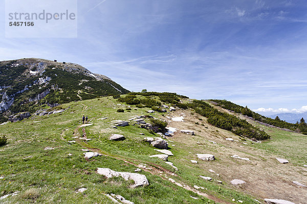 Beim Aufstieg zum Monte Altissimo oberhalb von Nago-Torbole  Gardasee  hinten der Monte Altissimo  Trentino  Italien  Europa