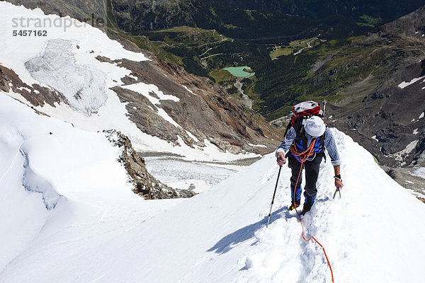 Bergsteiger beim Aufstieg zum Piz Palü  hier auf dem Gipfelgrat  Graubünden  Schweiz  Europa