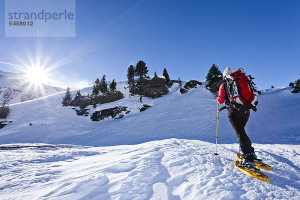 Schneeschuhgeher beim Aufstieg zur Martellerhütte  Martelltal  oberhalb der Zufallhütte  Südtirol  Italien  Europa