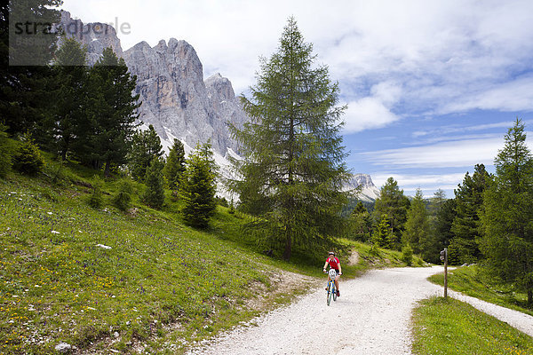 Radfahrer unterhalb der Geislerspitzen im Villnösstal  hier kurz vor der Gampenalm  Villnöss  Südtirol  Italien  Europa