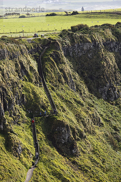 The Shepherd's Steps  Giant's Causeway  Causeway Coast  County Antrim  Nordirland  Irland  Großbritannien  Europa