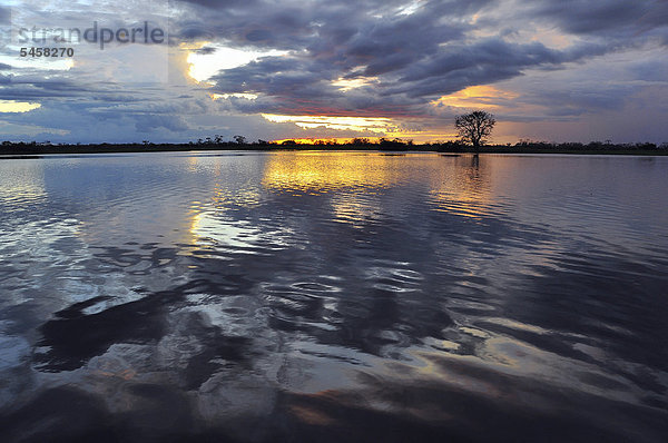 Sonnenuntergang in Amazonien  Mamiraua Schutzgebiet bei Tefe  Amazonas  Brasilien  Südamerika