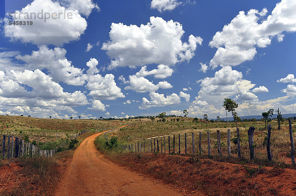 Viehweiden erstrecken sich unter Wolkenhimmel  Chapada Diamantina  Bahia  Brasilien  Südamerika