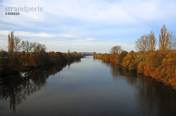 Herbstliche Landschaft am Fluss Main  Theres  Unterfranken  Bayern  Deutschland  Europa