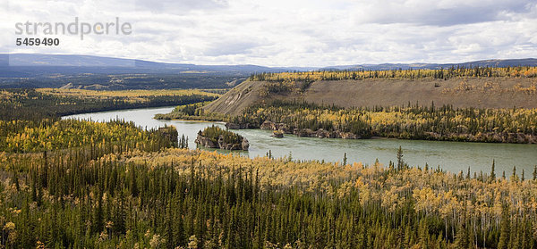 nahe Farbaufnahme Farbe Fluss Laub Yukon Kanada