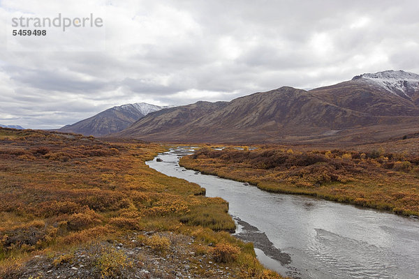 Farbaufnahme Farbe Fluss Laub Bach Nebenfluß Yukon Kanada