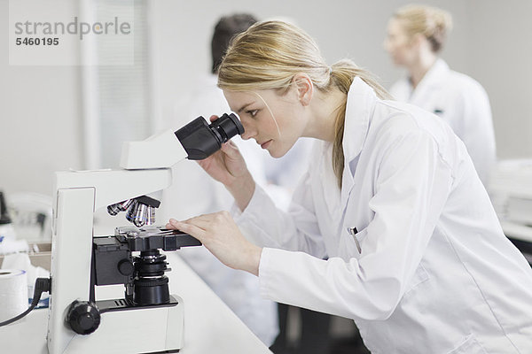 Wissenschaftler im Labor für Pathologie