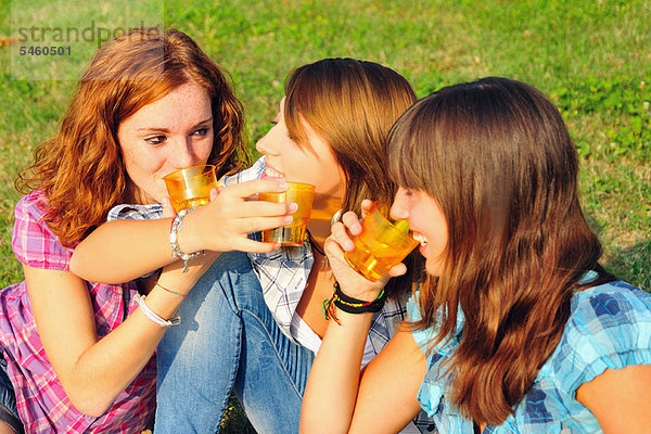 Ländliches Motiv  ländliche Motive  Jugendlicher  Feld  Picknick  Mädchen