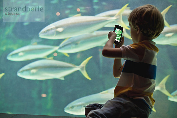 Junge fotografiert Fische im Aquarium