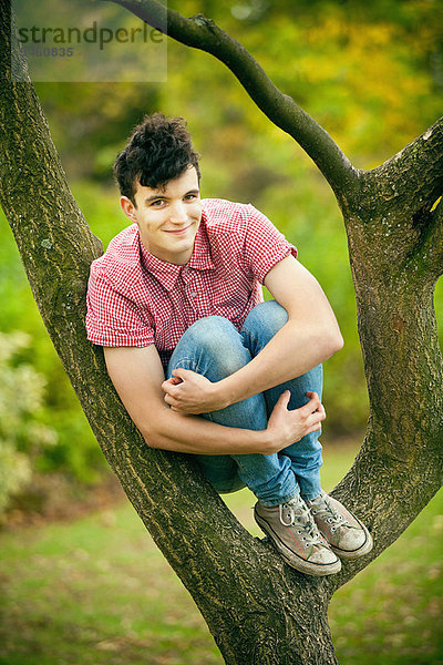 Jugendlicher  Junge - Person  Baum  klettern